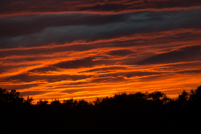 Fiery orange sunset in Brazoria County, Texas