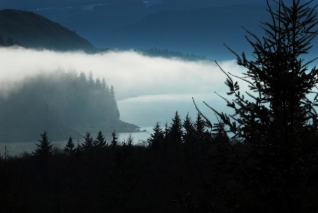 Fog on the Cowlitz River in Washington State