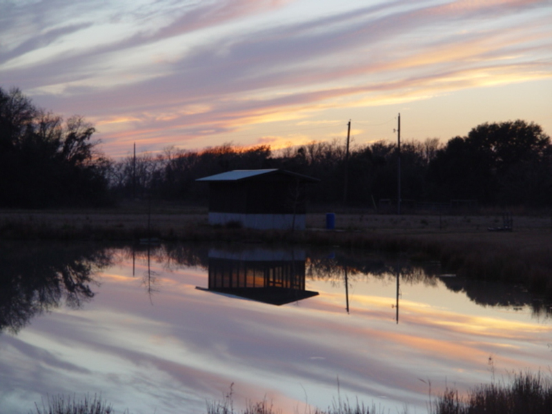 Sunset reflections in pond in Brazoria County, Texas