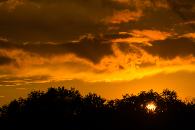 orange sunset in Brazoria County, Texas