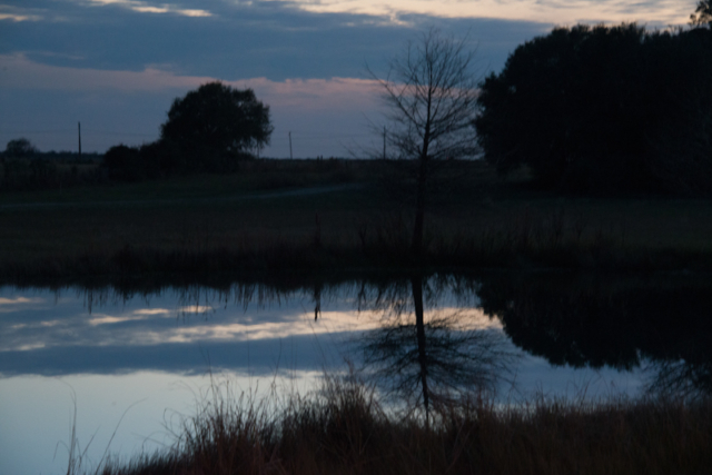 Twilight at a pond in Brazoria County Texas